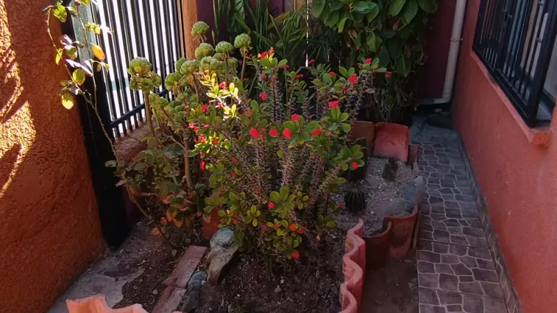 Casa 4 dormitorios 3 baños en Cielos Del Valle Coquimbo — foto 6