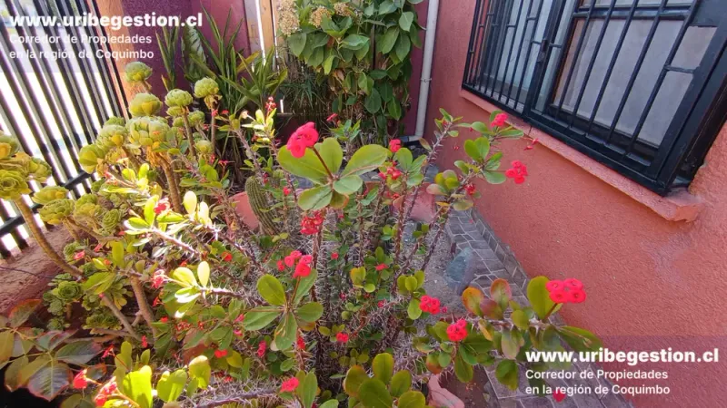 Casa 4 dormitorios 3 baños en Cielos Del Valle Coquimbo — foto 13