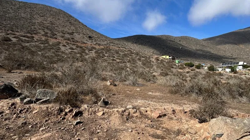 Parcela 5000 mts2 ROL propio en El Arrayán Costero La Serena — foto 1